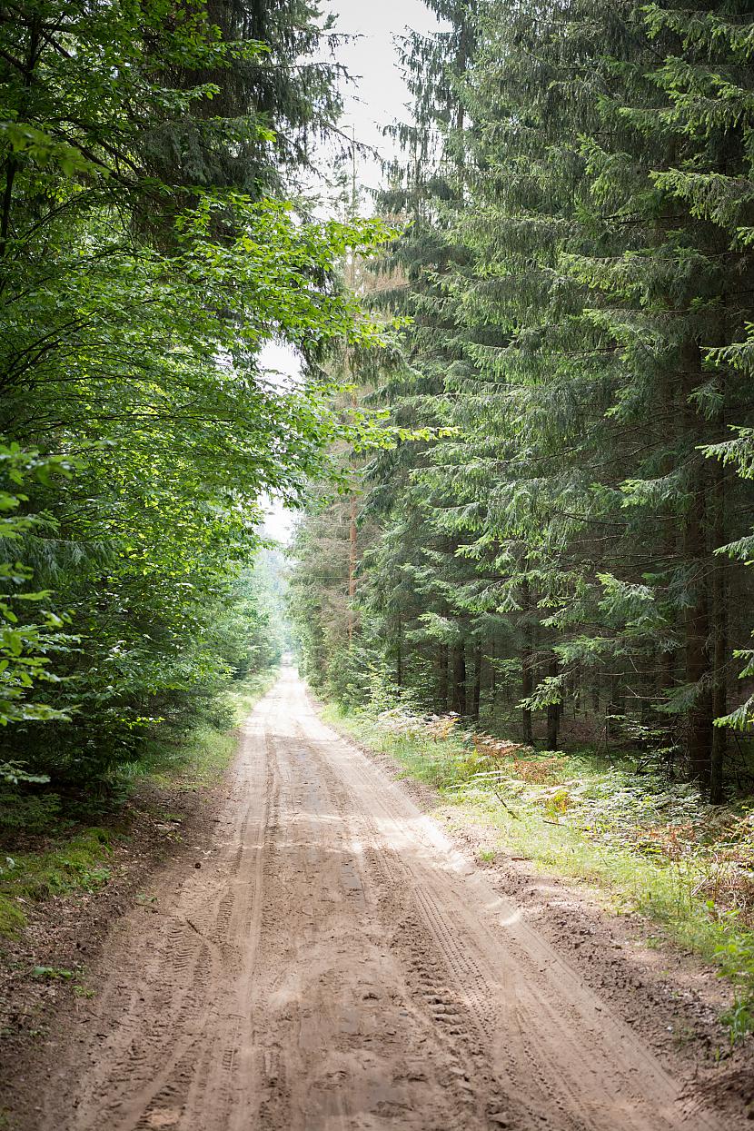  Autors: Liver Beloveža, Polija - nacionālais parks un rezervāts