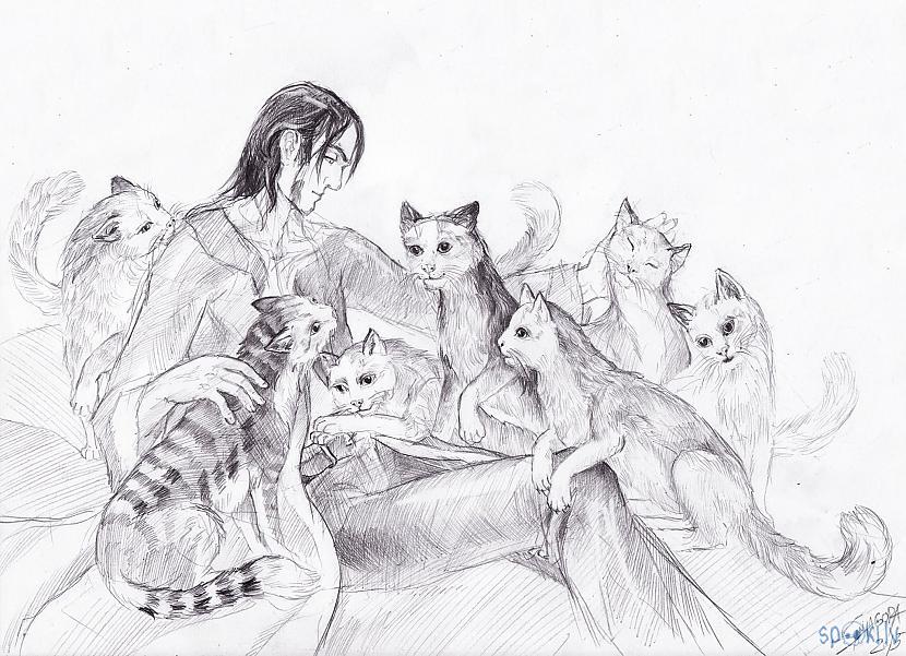 Skice ar septiņiem kaķiem kuri... Autors: anonymo Santagora - mani darbi 5. daļa