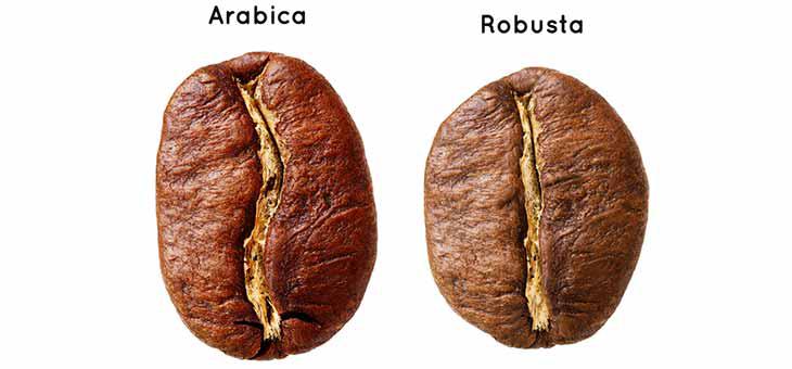 Ir tikai 2 kafijkoka... Autors: Fosilija 5 neticami fakti par kafiju