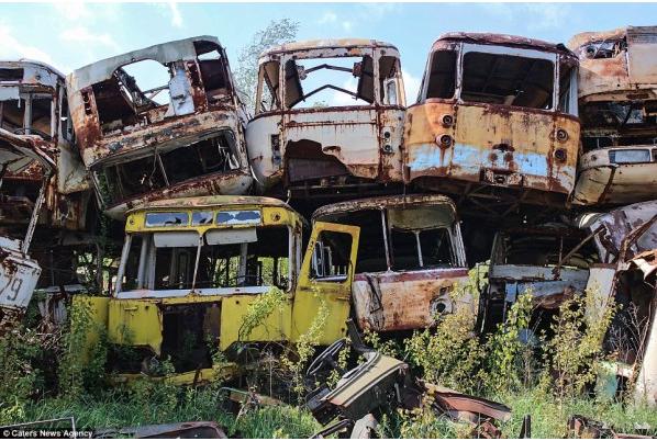 Dabas spēks Autors: DaceYo Pēc 30 gadiem - bildes no Černobiļas