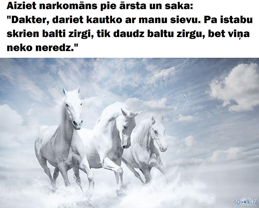  Autors: Latvian Revenger Spoki joko