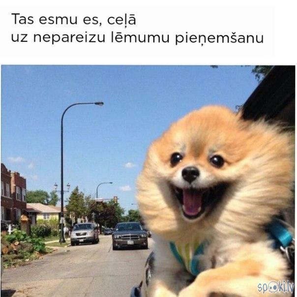  Autors: REDSUS Spoki joko
