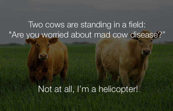 Divas govis stāv laukā quotVai... Autors: Lestets Stulbi, vienkārši un smieklīgi