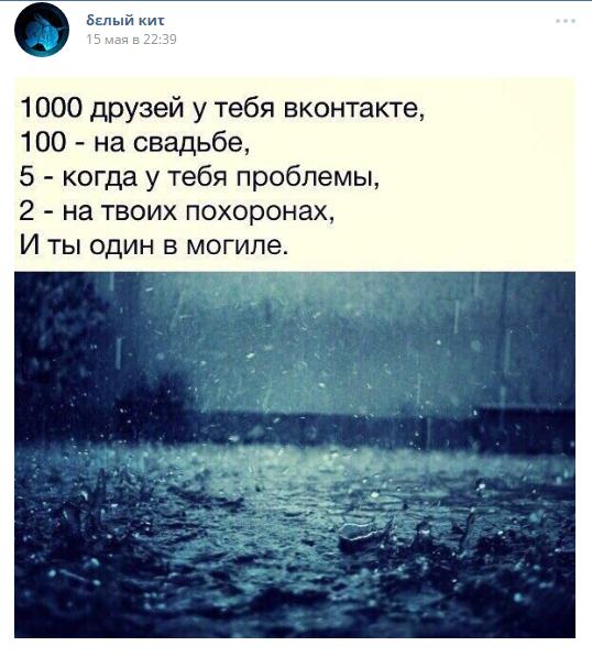 Baltais Valis 1000 draugu tev... Autors: Raziels Nāves grupas Krievijas  sociālajos tīklos