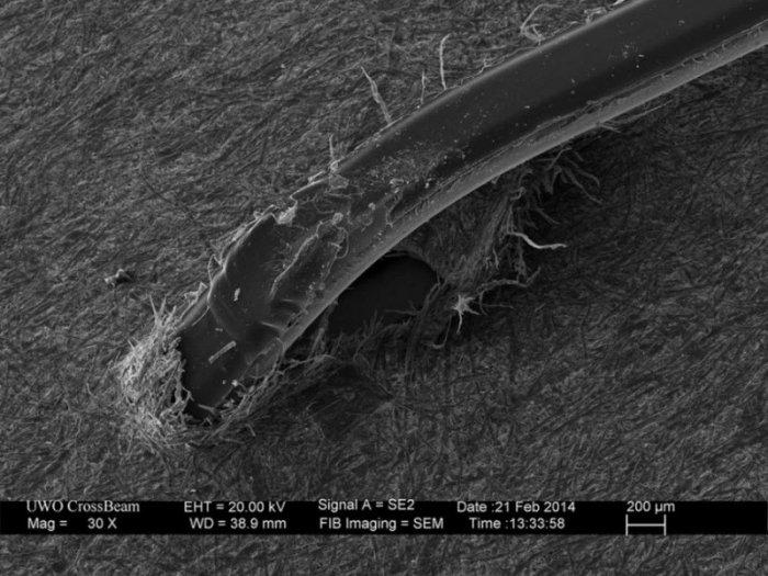 Metāla skava papīrā Autors: MrSmith7771 Zem mikroskopa.
