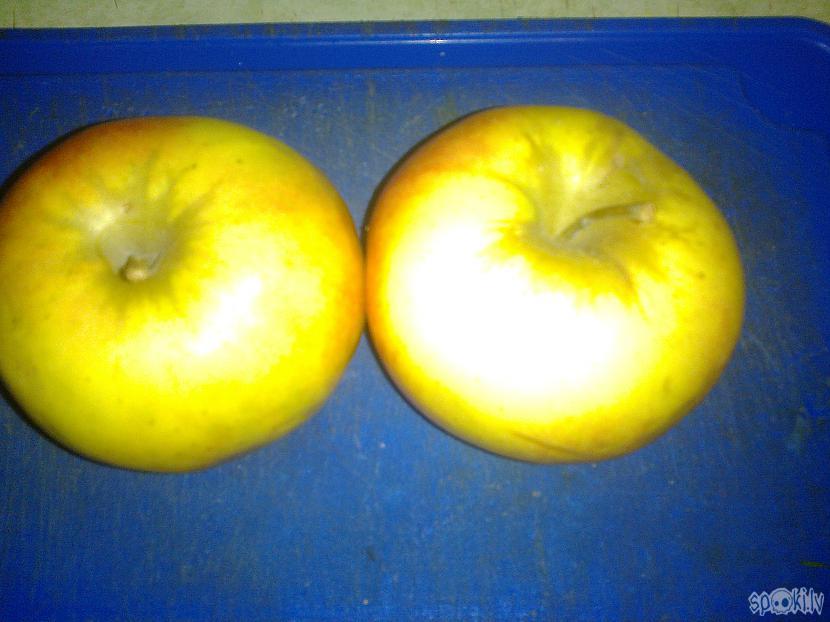 Scaronos divus jaukos... Autors: ezkins Mencas flirtiņš ar ābolpuikām