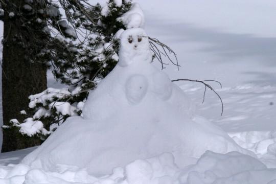 Šo sniegaveci droši vien cēla... Autors: Ciema Sensejs Sniegaveči.