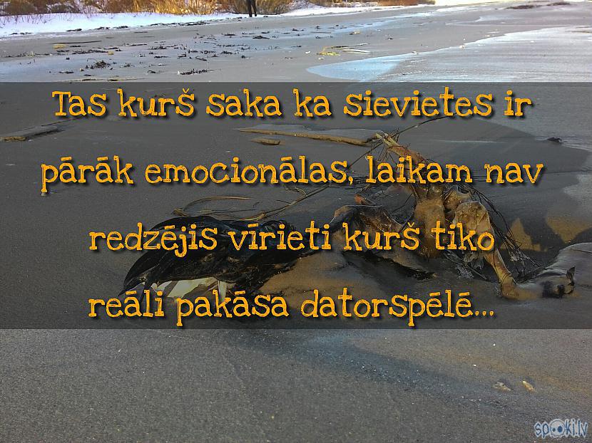  Autors: Kolch Spoki joko