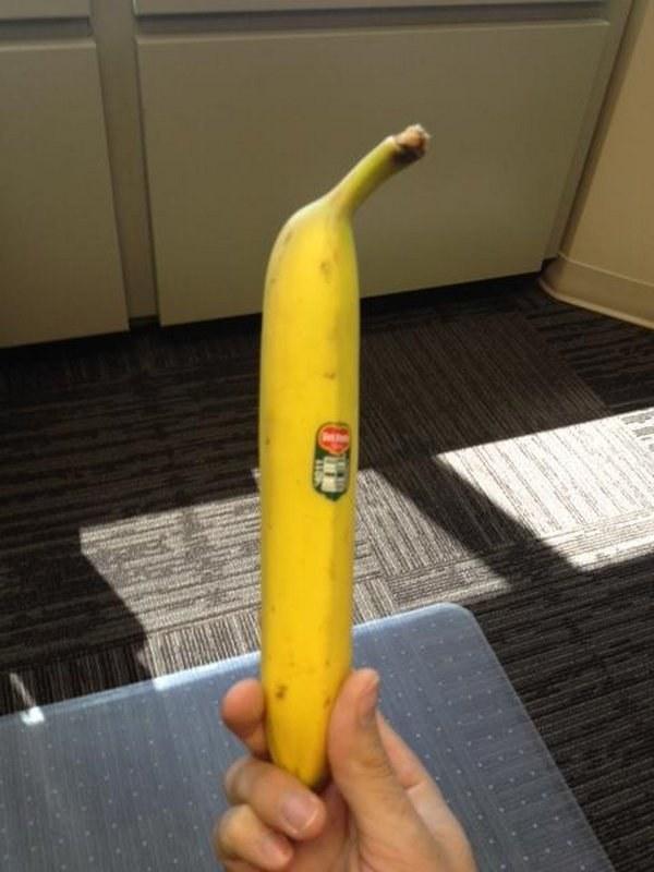 Banāns ir mazliet par taisnu... Autors: Syder 17 reizes, kad tu labāk būtu ēdis roltonu! #2