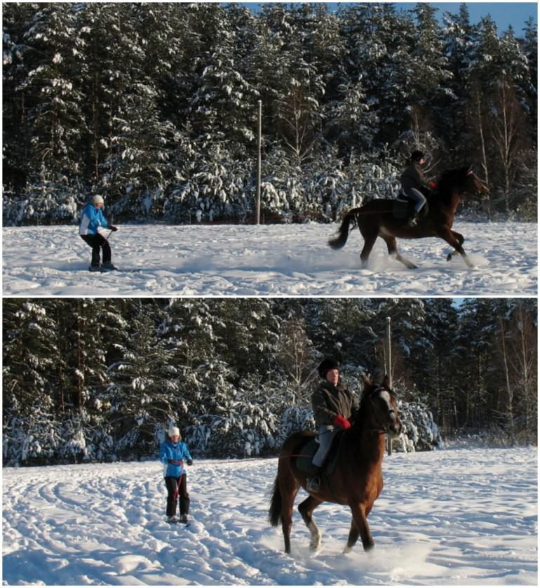 Skijorings aiz zirgaGandrīz kā... Autors: 100 A 20 fantastiskas vietas, uz kurām doties ārpus Rīgas ziemā. Foršs saraksts!