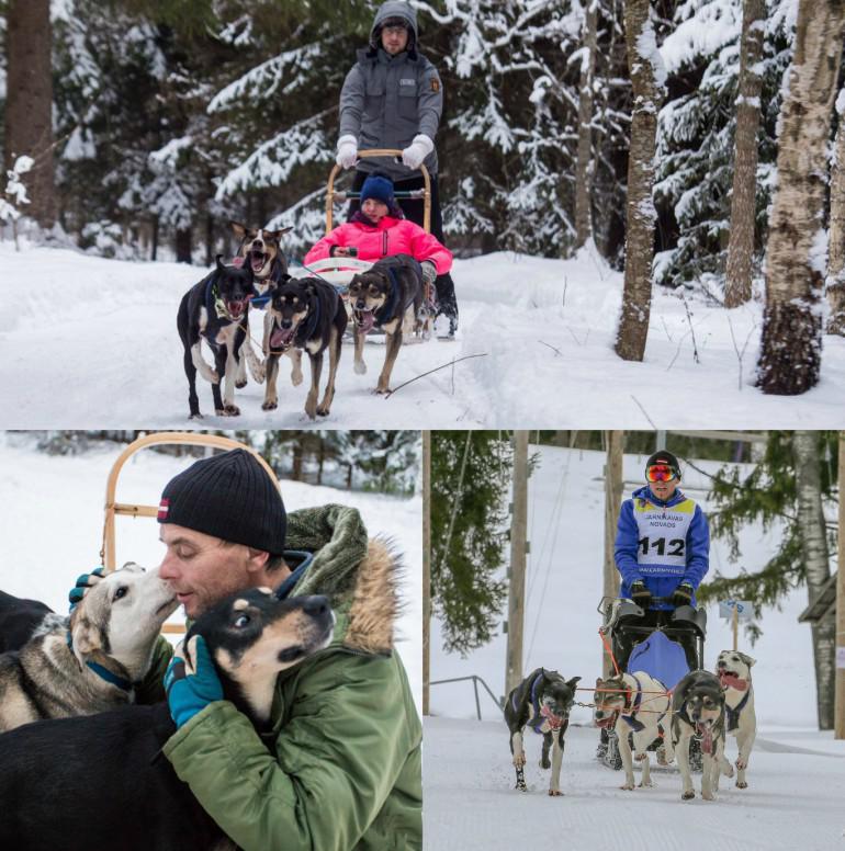 Izbrauciens ar suņa pajūgu pa... Autors: 100 A 20 fantastiskas vietas, uz kurām doties ārpus Rīgas ziemā. Foršs saraksts!