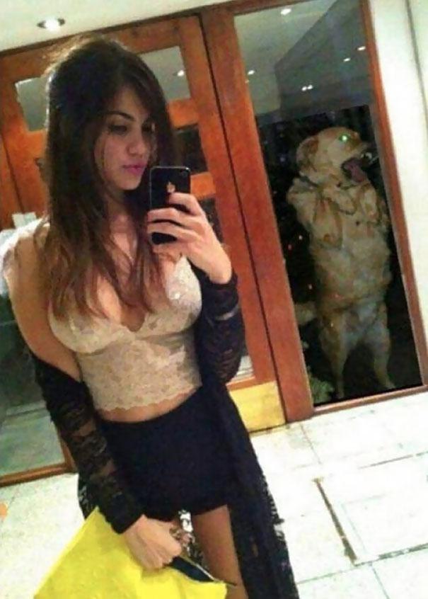 Šim sunim saimnieces selfiji... Autors: Ciema Sensejs 15 selfiji, kas izgāzās: VIENMĒR paskaties, kas tev ir fonā!