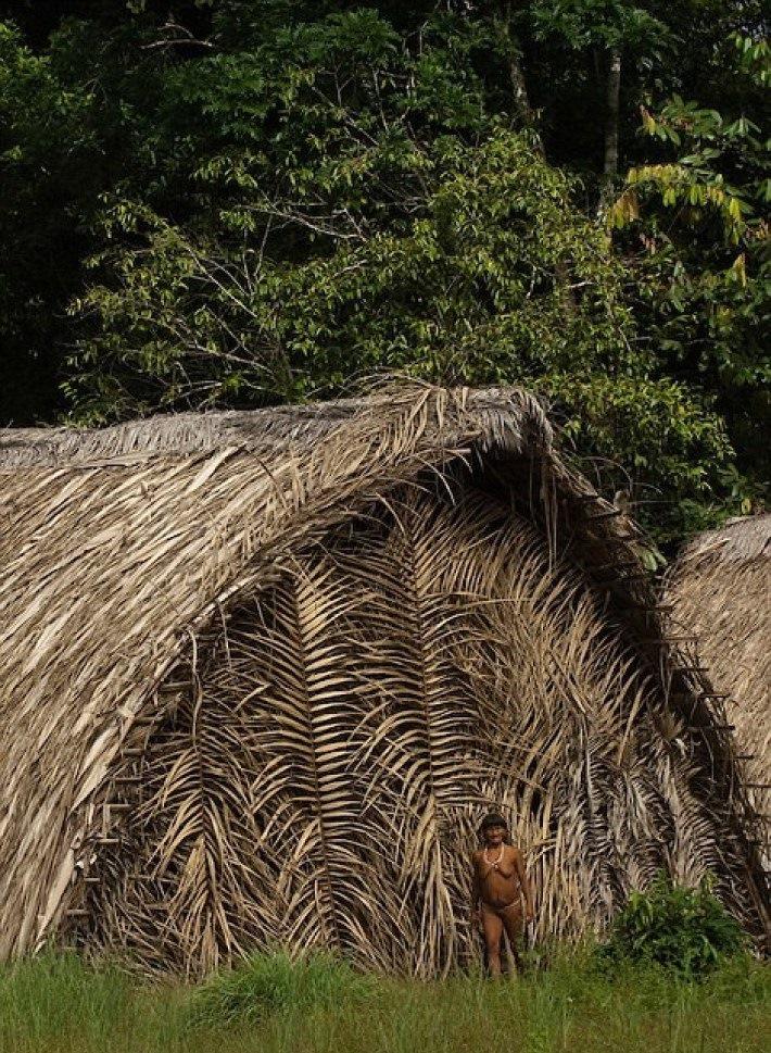 bdquoEs ļoti labi saprotu ka... Autors: bebuljons Fotogrāfs 12 dienas pavadīja kopā ar kādas Amazones cilts mežoņiem.