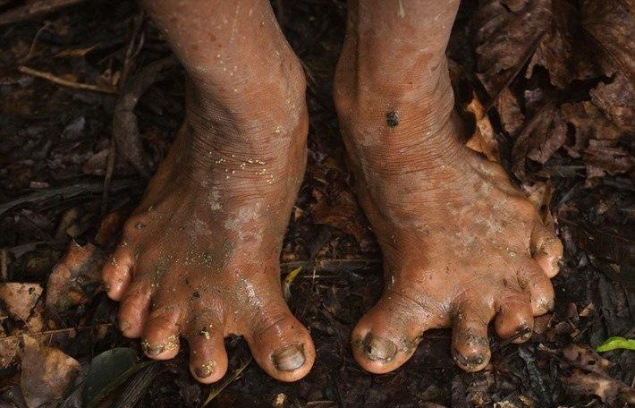Scaronī cilts dzīvo džungļos... Autors: bebuljons Fotogrāfs 12 dienas pavadīja kopā ar kādas Amazones cilts mežoņiem.