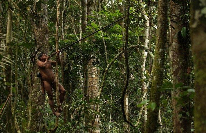 Medīscaronanai viņi izmanto... Autors: bebuljons Fotogrāfs 12 dienas pavadīja kopā ar kādas Amazones cilts mežoņiem.