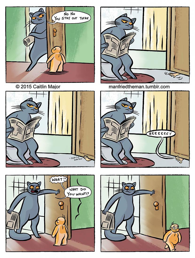  Autors: matilde 23 smieklīgi komiksi par to, ja cilvēks ar kaķi pēkšņi samainītos vietām!