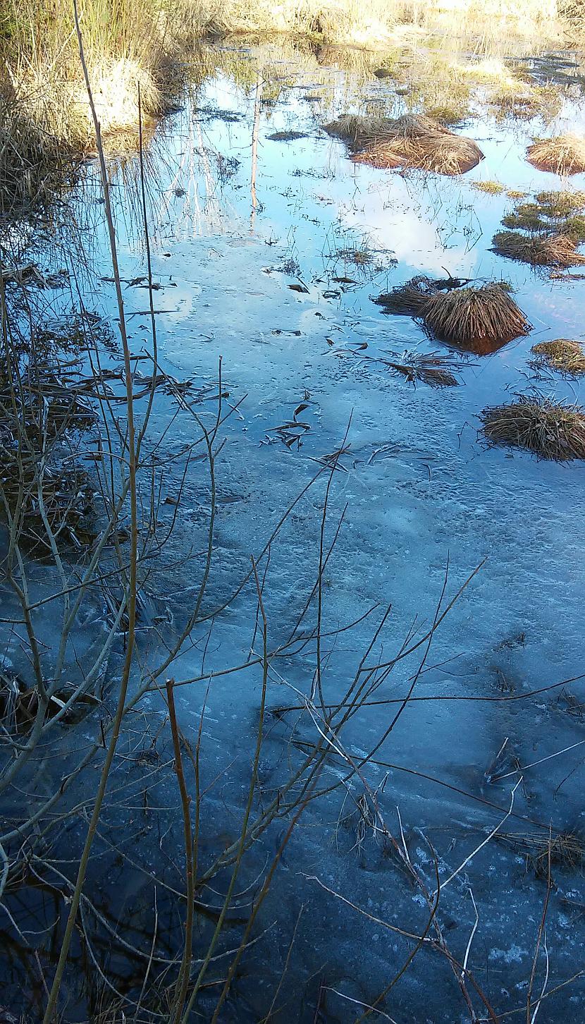 Daudz vietās ledus vēl nebija... Autors: Ciema Sensejs Pastaiga pa mežu