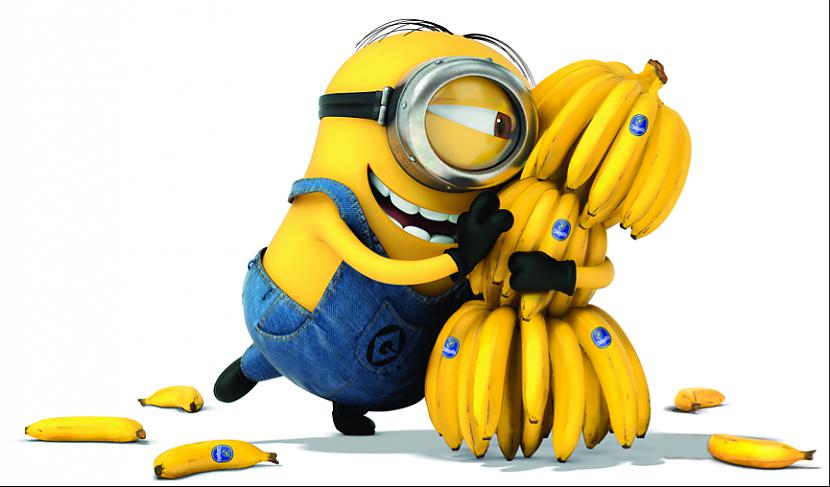 Banāns ir vispopulārākais... Autors: veldzivs 30 aizraujoši fakti par ASV
