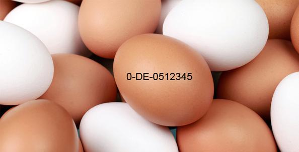 Sāksim ar to ka no olas var... Autors: TestU mONSTRs Ko nozīmē kods uz olas?
