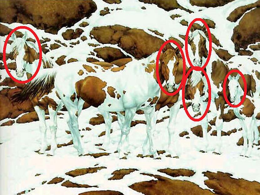 Attēlā redzami 5 zirgi Autors: The Diāna Ko TU redzi šajā bildē?