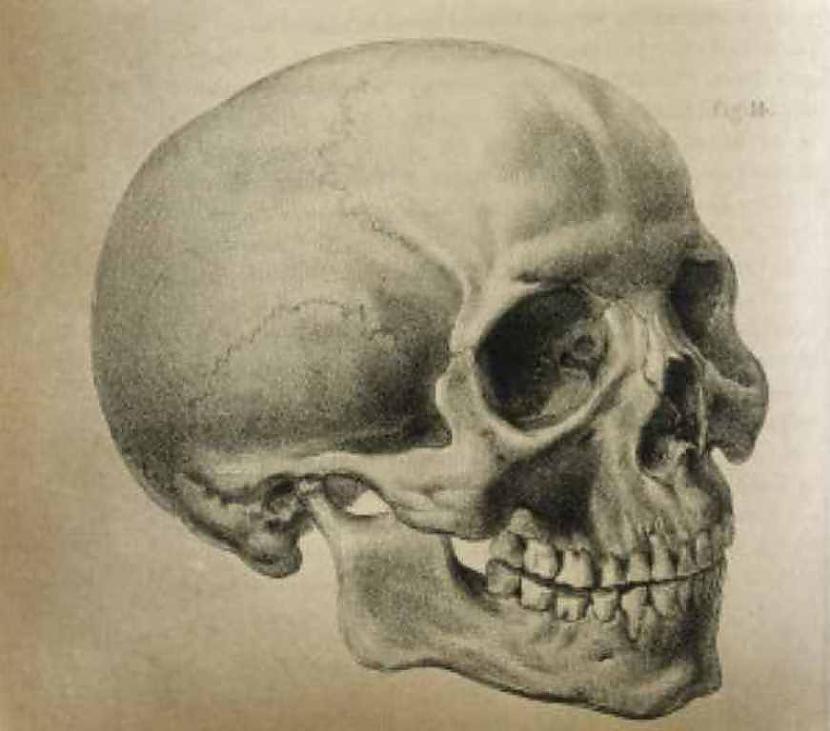 Cilvēku galvas kļūs... Autors: The Diāna Ieskaties nākotnē!!! Kāds izskatīsies cilvēks pēc 200 000 gadiem?