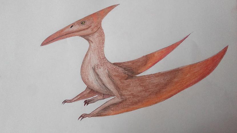 Pteranodon Autors: Fosilija Mani dino zīmējumi 2