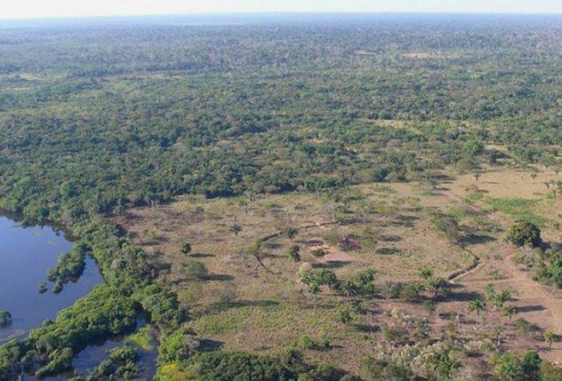 Amazones apļi Dziļi Brazīlijas... Autors: Testu vecis Neizskaidrojami džungļu noslēpumi