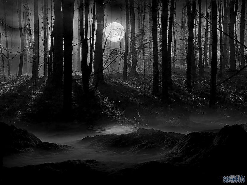  Autors: Spalvas tinte Šausmu stāsts: Tumšais mežs [3]