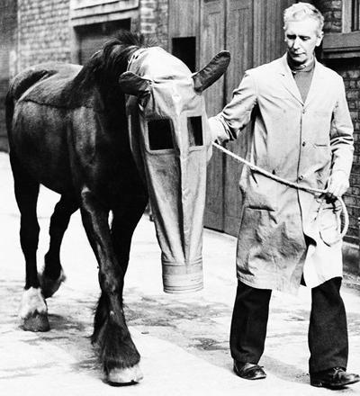 Gāzmaska zirgiem 1940 gadsTā... Autors: Bauskas Motormuzejs Neparasti pirmskara izgudrojumi!