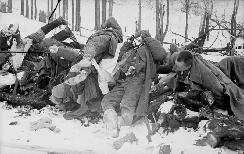 Ļeņingradas kauju laikā mira... Autors: Panzer 15 svarīgi fakti par Otro pasaules karu