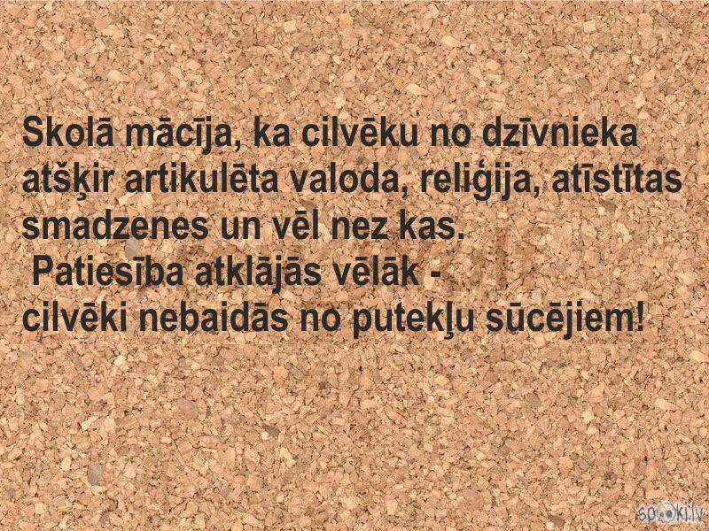  Autors: Grey Wolf Spoki joko