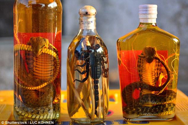 Vjetnamā ražo vīnus no čūskām... Autors: ezkins Dažas aizjūras delikateses, no kurām latvietim var palikt slikta dūša