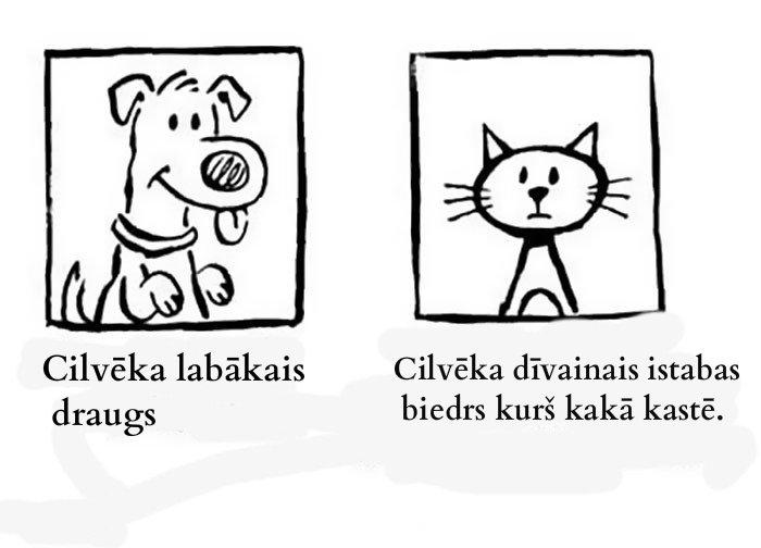  Autors: slepkavnieciskais Jautras atšķirības starp kaķiem un suņiem.