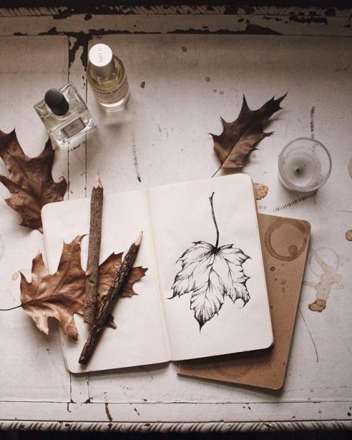  Autors: Fosilija Autumn #14
