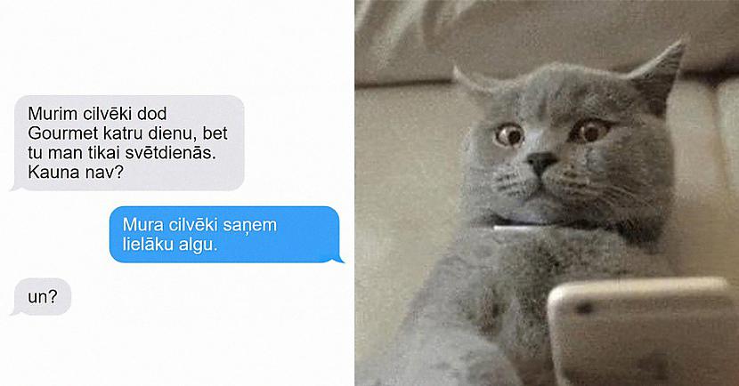  Autors: matilde 10 SMS, kuras Tu saņemtu no kaķa, ja viņi prastu tās rakstīt!