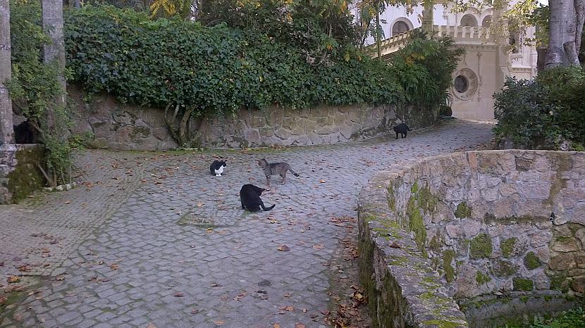  Autors: turistsr@speles Sintra - Mauru cietoksnis un vēl šis tas...