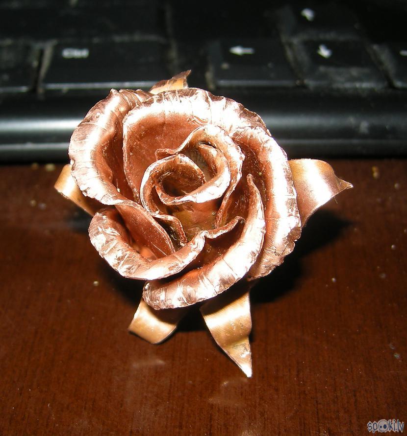 Galarezultāts Autors: DamnRiga Rozes zieds no vara (Cu) DIY