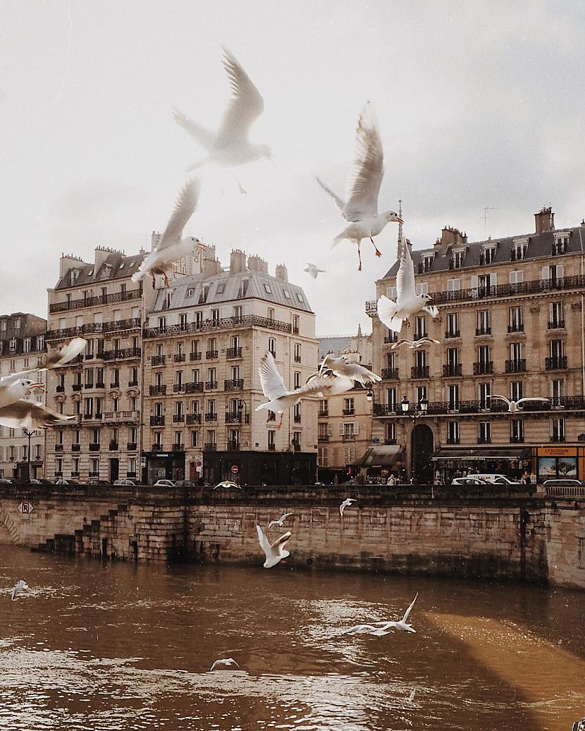  Autors: ALISDZONS Paris