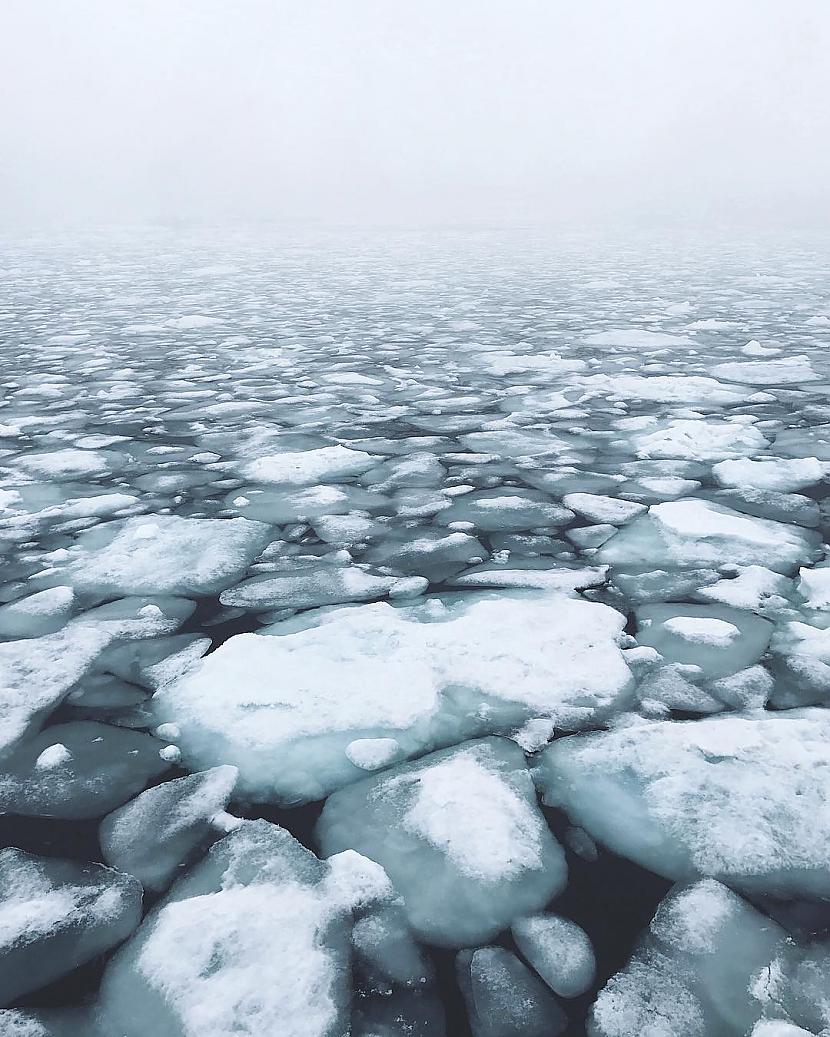  Autors: ALISDZONS Antarctica