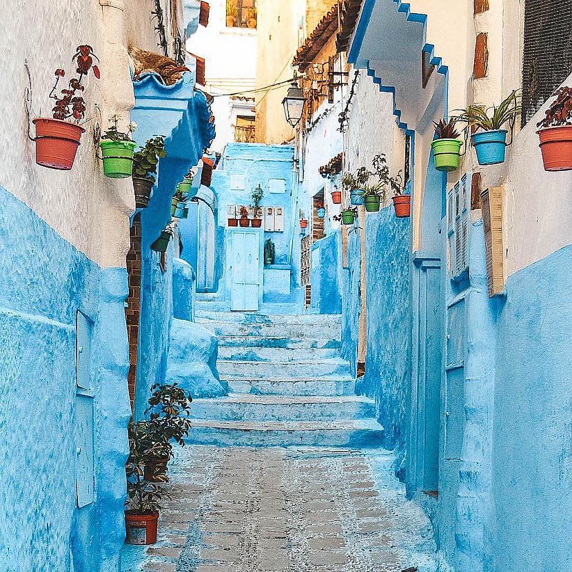 Autors: ALISDZONS Morocco