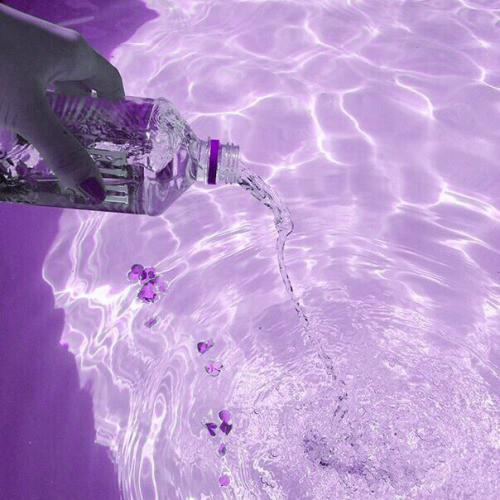  Autors: Fosilija Bildes 34 - purple