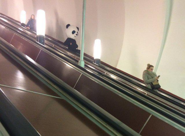 Dzīvnieku milzu galvasmaskas ... Autors: Latvian Revenger Krievijas metro - visstilīgākie cilvēki mīt šeit!