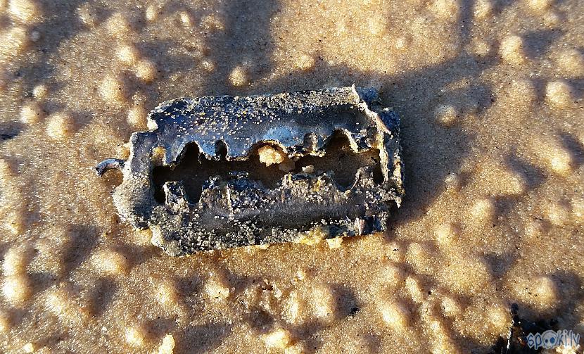 Aprūsējis piekariņscaron Autors: pyrathe Ar metāla detektoru pa pludmali 2018 (aprīlis)