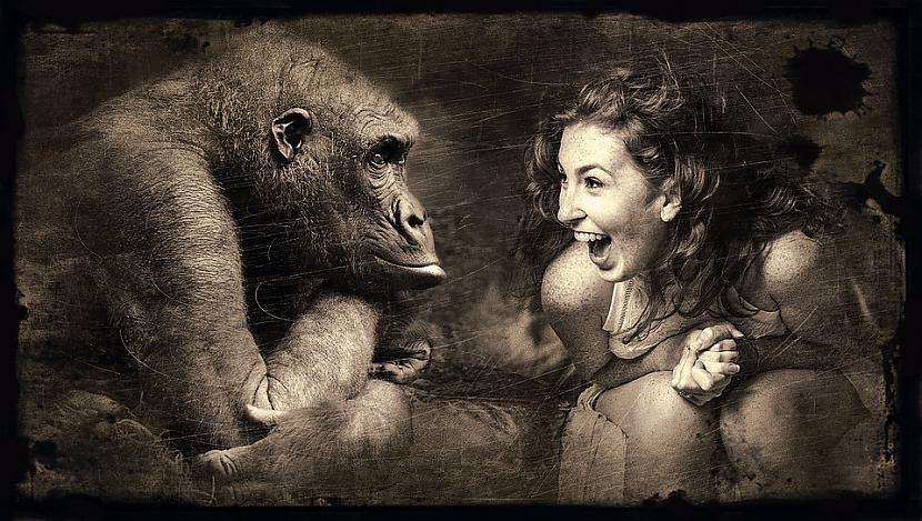 Foto PixabayTas ir smieklīgi... Autors: Lestets Mēs neredzam citplanētiešus kosmiskās gorillas efekta dēļ