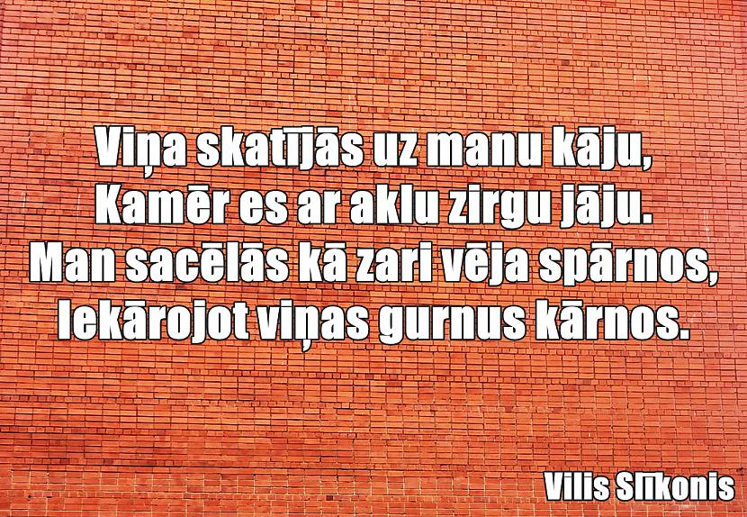  Autors: Vilis Slīkonis Laukos dzīve skarba, Vilis ķeras pie darba