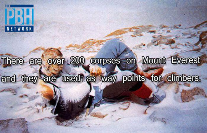 Uz Everesta atrodas vairāk kā... Autors: Vsauce Interesanti fakti