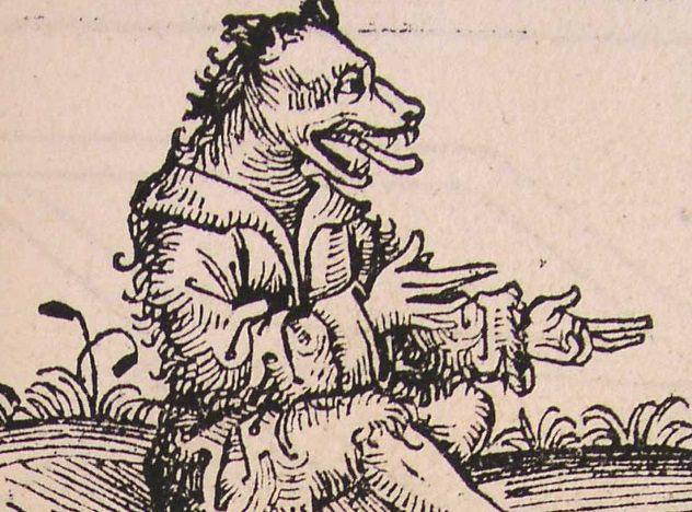 KalistriinbspVīrinbspar suņu... Autors: Testu vecis Dīvainas ciltis, kuras, saskaņā ar seno pētnieku apgalvoto, patiešām eksistēja