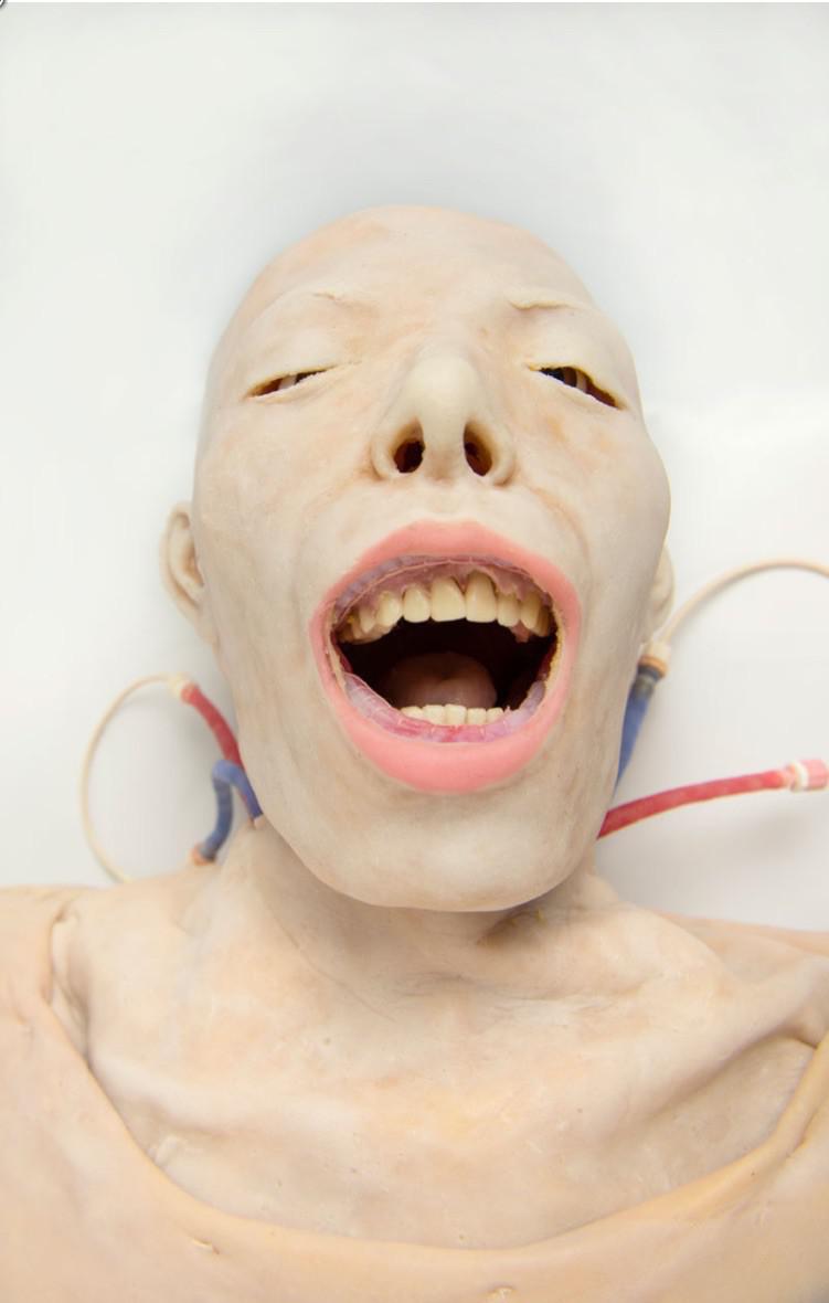 Tuvāks skats uz... Autors: Lestets Sintētiskie cilvēku orgāni, kas paredzēti ķirurgu apmācībai