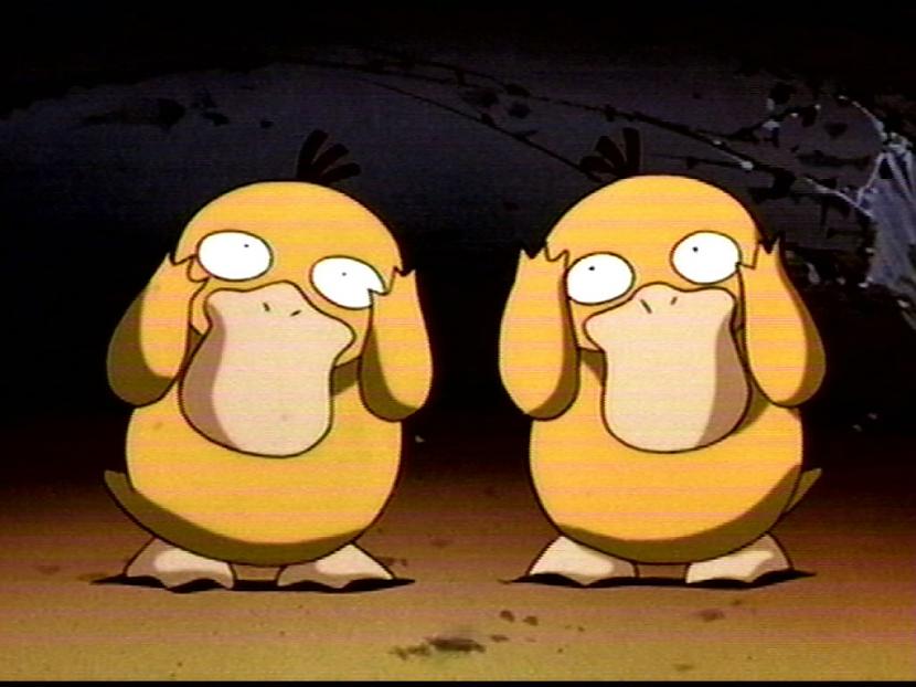 Psyduck Kuram gan negarscarono... Autors: Tokiari  Pokemoni, kurus es gribētu apēst #1