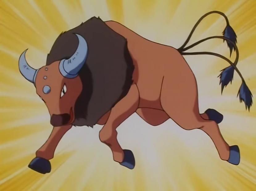Tauros Katrā Maķītī un Hesītī... Autors: Tokiari  Pokemoni, kurus es gribētu apēst #1